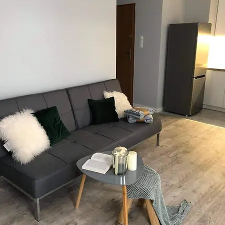 Apartament Stare Miasto Elblag Exterior photo